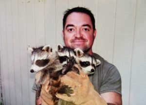 Man holding three raccoons