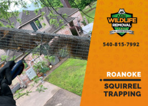 squirrel trapping program roanoke