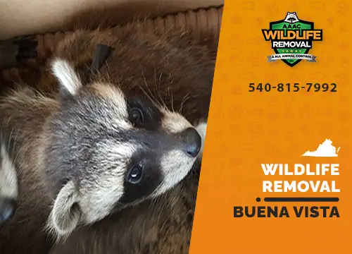 Buena Vista Wildlife Removal professional removing pest animal