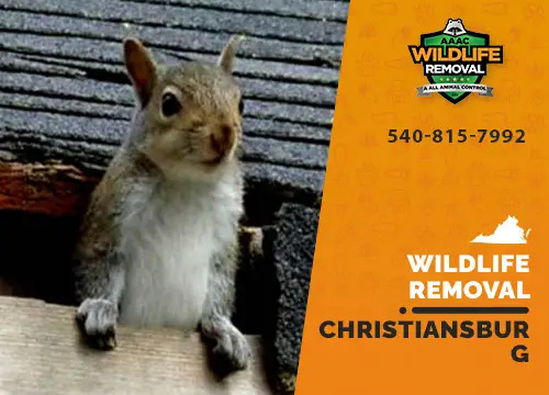 Christiansburg Wildlife Removal professional removing pest animal