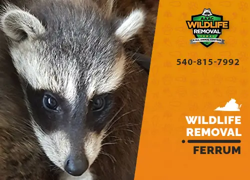 Ferrum Wildlife Removal professional removing pest animal