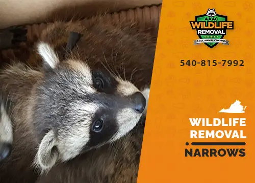 Narrows Wildlife Removal professional removing pest animal