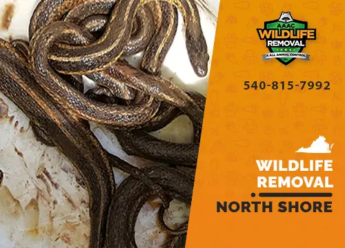 North Shore Wildlife Removal professional removing pest animal