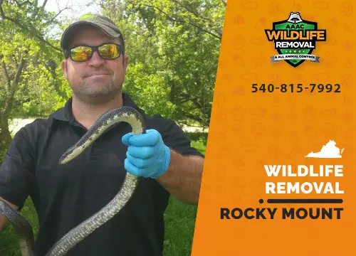 Rocky Mount Wildlife Removal professional removing pest animal