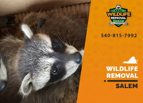 Salem Wildlife Removal professional removing pest animal