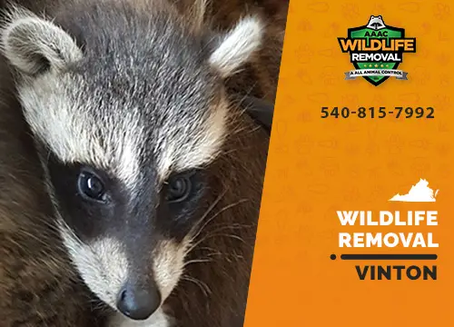 Vinton Wildlife Removal professional removing pest animal