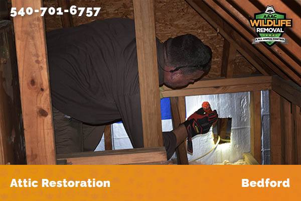 Attic Restoration Bedford