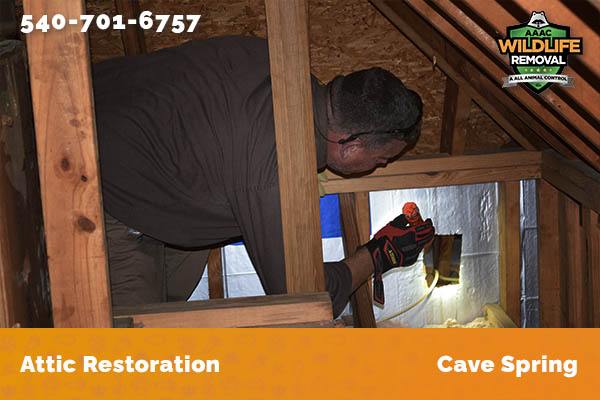 Attic Restoration Cave Spring