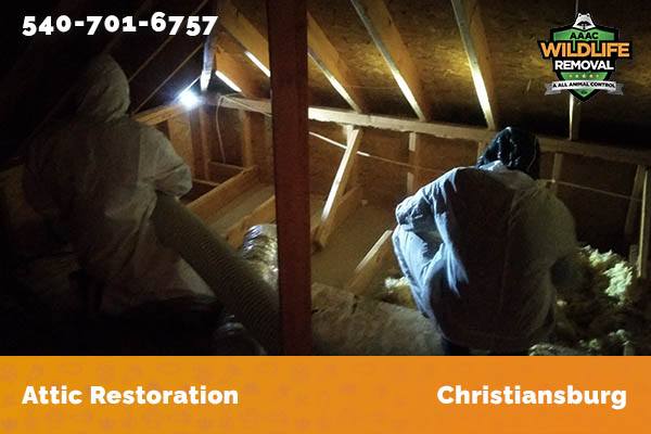 Attic Restoration Christiansburg