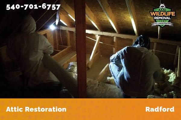 Attic Restoration Radford