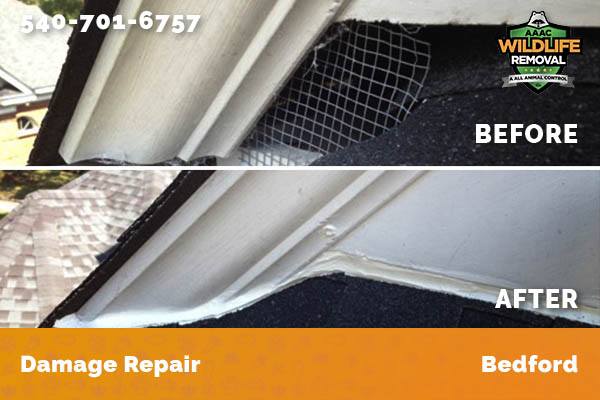 Damage Repair Bedford