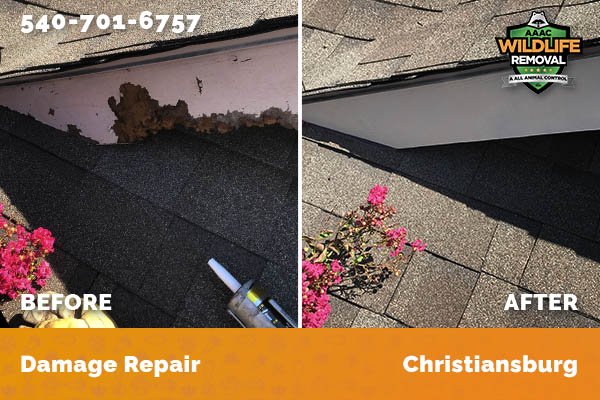 Damage Repair Christiansburg