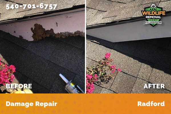 Damage Repair Radford
