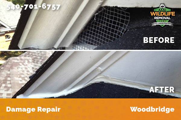 Damage Repair Woodbridge